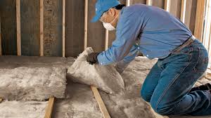 Best Insulation Removal  in Circleville, OH